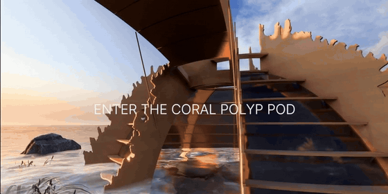Polyp Pod field footage