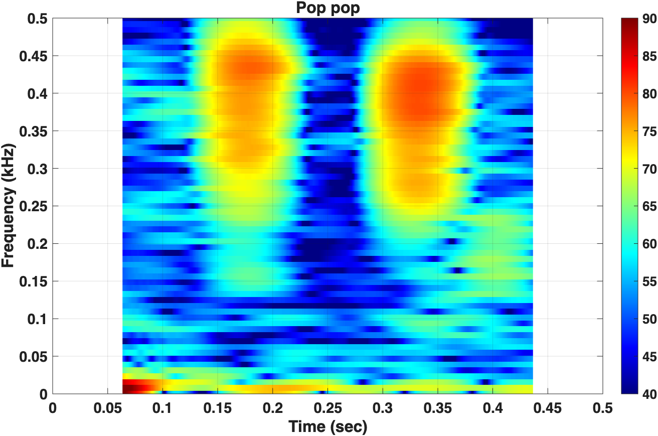 Pop-pop spectrogram from unknown reef fish