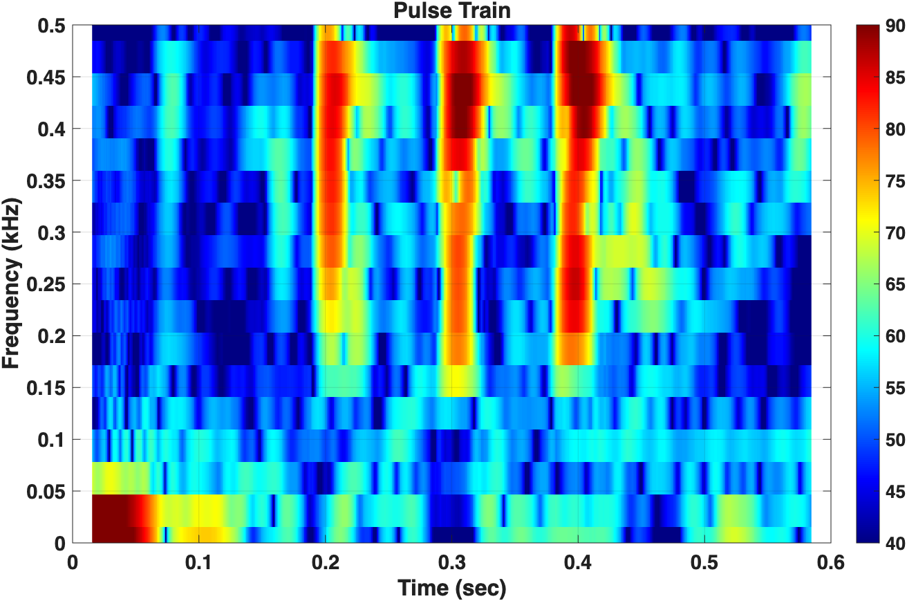 Pulse train spectrogram from damselfish call